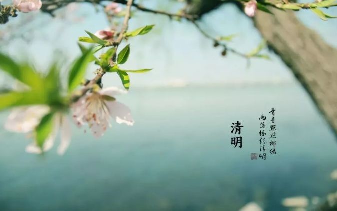 清明 || 雨紛紛，思故人