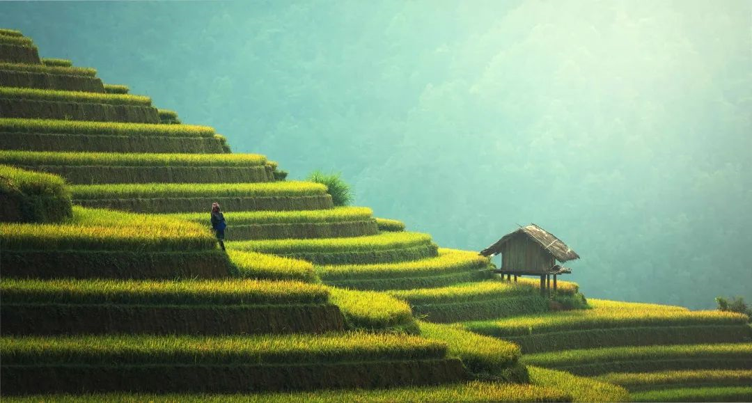 除了粽子，端午竟然還有這么多美食！你吃過(guò)幾個(gè)？